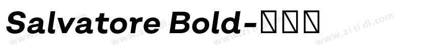 Salvatore Bold字体转换 Salvatore Bold字体转换
